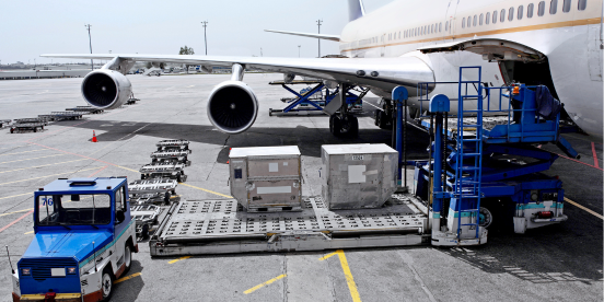 Aviate relies on temp labour in Vancouver